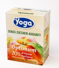 YOGA BRIK TETRA S.Z.PZ.24 PESCA
